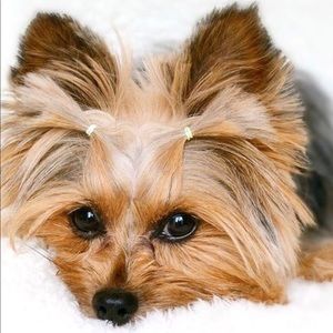 Meet your Posher, Thao